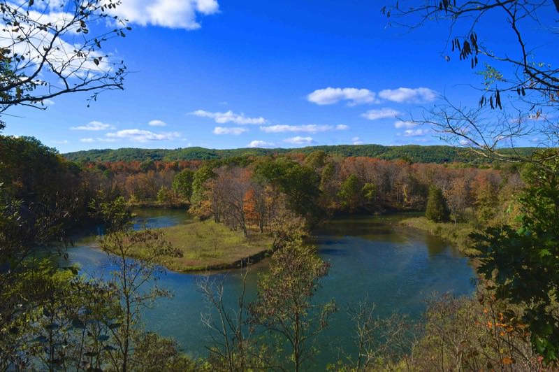 Manistee River Trail
